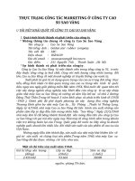 THỰC TRẠNG CÔNG TÁC MARKETING Ở CÔNG TY CAO SU SAO VÀNG