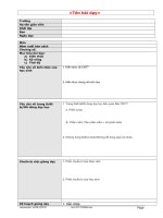 Mau giao an lesson-plan.