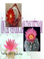 Bài soạn Ngữ Văn 10 ( PP dạy học theo góc