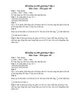 De thi HSG Toan 5 thang 11