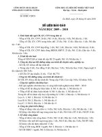 bao cao so lieu 2010