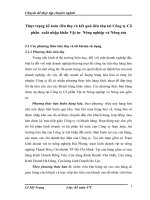 Thực trạng kế toán tiêu thụ và kết quả tiêu thụ tai Công ty Cổ phần  xuất nhập khẩu Vật tư  Nông nghiệp và Nông sản