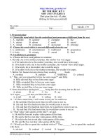 Đề mẫu HK I Anh 11_1