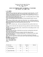 Bao cao so ket 26-3 to tn