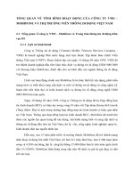 TỔNG QUAN VỀ TÌNH HÌNH HOẠT ĐỘNG CỦA CÔNG TY VMS
