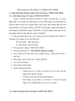 TỔNG QUAN VỀ CÔNG TY TNHH VIỆT BÌNH