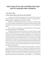 THỰC TRẠNG VỀ VAI TRề VÀ PHƯƠNG PHÁP LÃNH ĐẠO CỦA GIÁM ĐỐC CÔNG TYHYMETCO