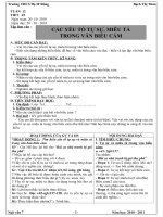 Thảo GA Văn 7 ( T12)