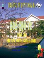 GIÁO ÁN: SỰ ĂN MÒN KIM LOẠI 12