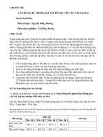 Chuyên đề Toán 6