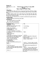 GA 5- Tuan 17 ( CKTKN)