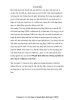 Hoạch định chiến lược thương mại điện tử cho công ty cellphones việt nam 