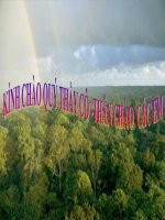 Bài 21 Di truyền quần thể