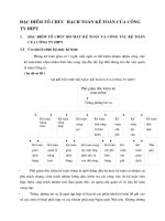 ĐẶC ĐIỂM TỔ CHỨC  HẠCH TOÁN KẾ TOÁN CỦA CÔNG TY HIPT