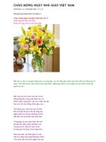 Chào mừng ngày Nhà giáo Việt Nam