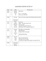 GIAO AN CHUAN KIEN THUC TUAN 19