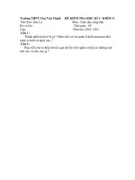 Đề thi học kỳ I môn GD 10 năm 2010-2011