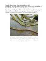 Top 10 di sản được yêu thích nhất thế giới