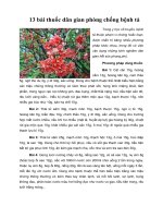 13 bài thuốc dân gian phòng chống bệnh tả