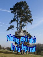 Kiến trúc độc đáo