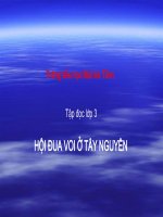 Bai: le hoi dua voi Tay Nguyen ( co video clip)