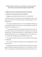 TÍN DỤNG TRUNG  DÀI HẠN CỦA NGÂN HÀNG VÀ CHẤT LƯỢNG TÍN DỤNG TRUNG DÀI HẠN TRONG NỀN KINH TẾ THỊ TRƯỜNG