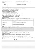 ĐỀ THI KIỂM TRA HKI