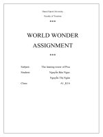 WORLD WONDER ASSIGNMENT