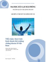 Quá trình hình thành thị trường chứng khoán Việt Nam