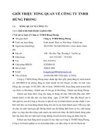 GIỚI THIỆU TỔNG QUAN VỀ CÔNG TY TNHH HÙNG PHONG