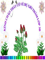 TN&XH lớp 3 tuần 12: Phòng cháy khi ở nhà