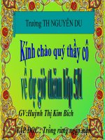 Tđ Trồng rừng ngập mặn