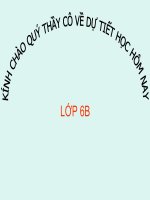 Cong hai so nguyen cung dau