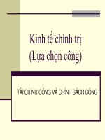 Kinh tế chính trị(Lựa chọn công)