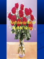 cam nghi trong dem thanh tinh