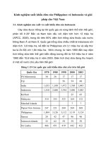 Kinh nghiệm xuất khẩu dừa của Philippines và Indonesia và giải pháp cho Việt Nam