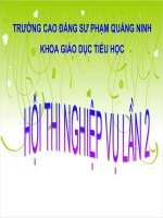 phong canh de­n hung