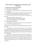 NHỮNG VẤN ĐỀ LÝ LUẬN CƠ BẢN VỀ SỬ DỤNG HIỆU QUẢ VỐN KINH DOANH