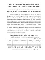 PHÂN TÍCH TÌNH HÌNH CHO VAY VỐN ĐỐI VỚI HỘ SẢN XUẤT TẠI NHNo  PTNT CHI NHÁNH HUYỆN GIỒNG RIỀNG