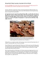 Di sản VH thế giới (Hoàng thành Thăng Long)