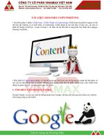 TÀI LIỆU SEO/SMO COPYWRITING