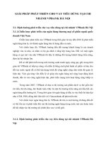 GIẢI PHÁP PHÁT TRIỂN CHO VAY TIÊU DÙNG TẠI CHI NHÁNH VPBANK HÀ NỘI