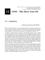 GSM switching services and protocols P12