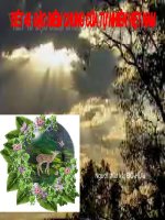 Địa 8- Đặc điểm chung của tự nhiên Việt Nam