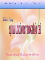 bai 30 . sư nhân lên của vi rut trong tế bào chủ