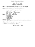 DE THI HOC KY I -hoa 8