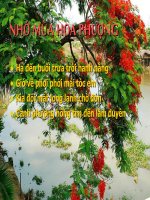 TÀI LIỆU GIẢI TRÍ