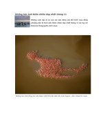 Những bức ảnh thiên nhiên đẹp nhất tháng 11