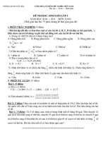 Đề Thi Toán HSG Kèm Đáp Án