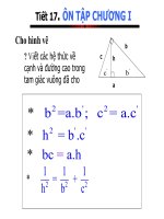 Bai giang on tap chuong I cuc HOT